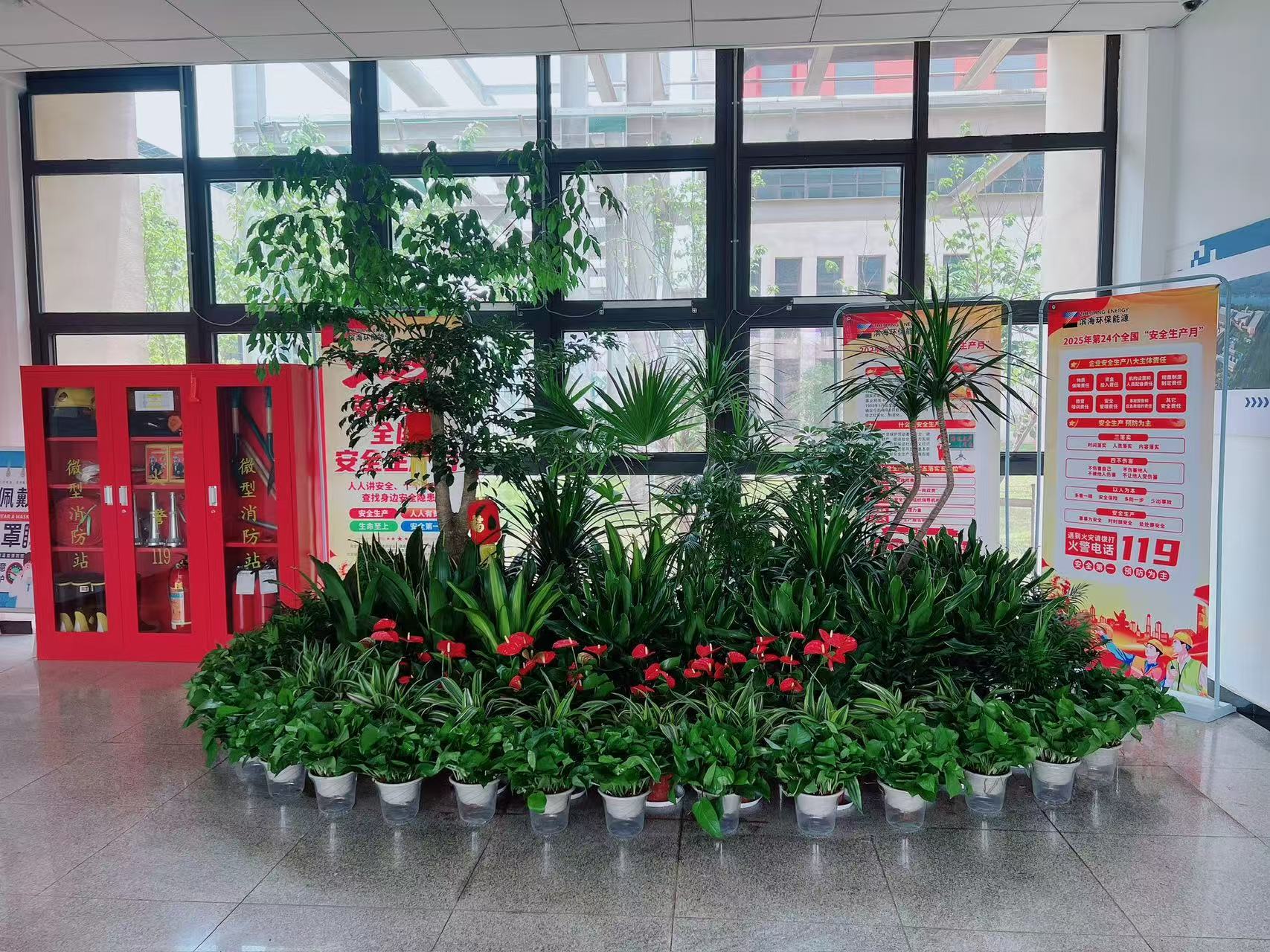 宁波鄞州植物租赁哪家好